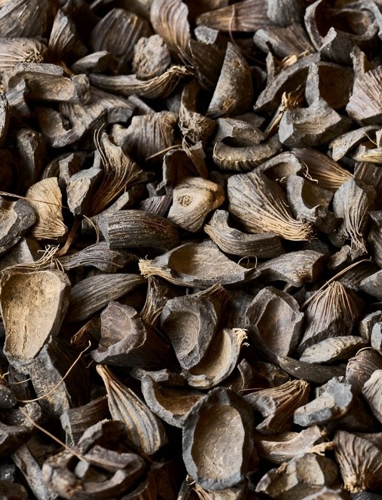 Carbonized palm kernel shells
